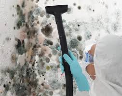 Why You Should Choose Our Mold Remediation Services in Cambria, CA